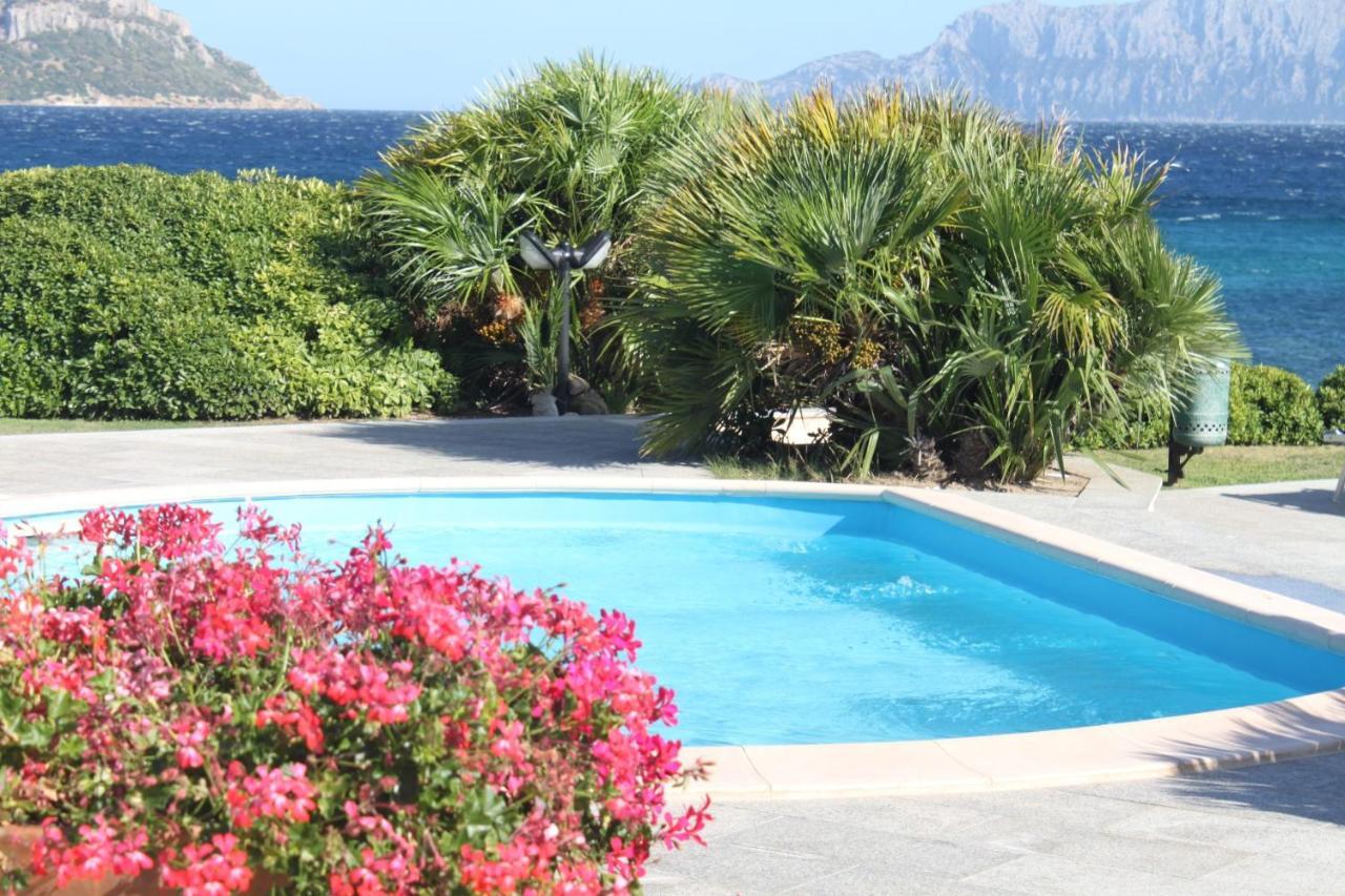 Apartment In S'Abba E Sa Pedra With Pool Гольфо-Аранчи Экстерьер фото